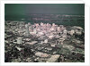 Miami, Florida by Anonymous