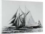 America Racing Yacht on the Sea by Anonymous