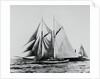America Racing Yacht on the Sea by Anonymous