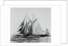 America Racing Yacht on the Sea by Anonymous