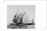 America Racing Yacht on the Sea by Anonymous