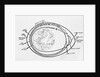 Diagram of American and Russian Satellite Orbits by Anonymous