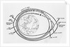 Diagram of American and Russian Satellite Orbits by Anonymous