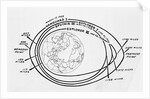 Diagram of American and Russian Satellite Orbits by Anonymous