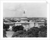 View of Capital Hill by Anonymous