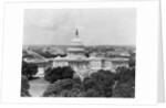 View of Capital Hill by Anonymous
