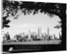 New York City Skyline from Governor's Island by Anonymous