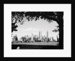 New York City Skyline from Governor's Island by Anonymous