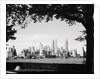 New York City Skyline from Governor's Island by Anonymous