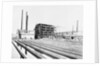 Sugar Plant by Anonymous