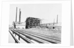 Sugar Plant by Anonymous