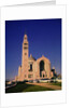 National Shrine of the Immaculate Conception Church by Anonymous