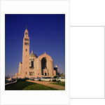 National Shrine of the Immaculate Conception Church by Anonymous