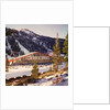 Squaw Valley's Blyth Arena by Anonymous
