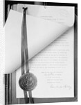 Official Proclamation of Ratification of Suffrage Amendment by Anonymous