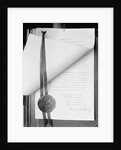 Official Proclamation of Ratification of Suffrage Amendment by Anonymous