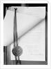 Official Proclamation of Ratification of Suffrage Amendment by Anonymous