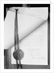 Official Proclamation of Ratification of Suffrage Amendment by Anonymous