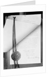 Official Proclamation of Ratification of Suffrage Amendment by Anonymous