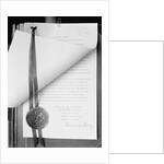 Official Proclamation of Ratification of Suffrage Amendment by Anonymous