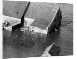 Animal Standing by House Submerged in Flood Waters by Anonymous