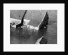 Animal Standing by House Submerged in Flood Waters by Anonymous