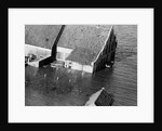Animal Standing by House Submerged in Flood Waters by Anonymous