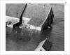 Animal Standing by House Submerged in Flood Waters by Anonymous