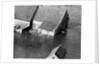 Animal Standing by House Submerged in Flood Waters by Anonymous