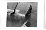 Animal Standing by House Submerged in Flood Waters by Anonymous