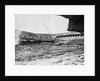 Disappearing Ebbets Field by Anonymous