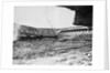 Disappearing Ebbets Field by Anonymous