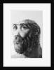 Artist's Recreation of Prehistoric Man's Head by Anonymous