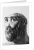 Artist's Recreation of Prehistoric Man's Head by Anonymous