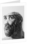 Artist's Recreation of Prehistoric Man's Head by Anonymous