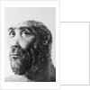 Artist's Recreation of Prehistoric Man's Head by Anonymous