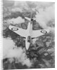 The Hunter Hawker Airplane by Anonymous