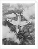 The Hunter Hawker Airplane by Anonymous