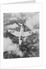 The Hunter Hawker Airplane by Anonymous