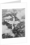 The Hunter Hawker Airplane by Anonymous