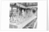 Dining Hall of Siam Royal Palace by Anonymous