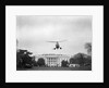 Helicopter Carrying the Kennedy Family by Anonymous