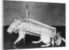 Rodent Regalia by Anonymous