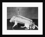 Rodent Regalia by Anonymous