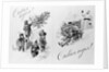 New Year Greeting Cards from Soviet Russia by Anonymous