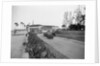 View of Cars on Ocean Drive Near Bath and Tennis Club by Joseph Urban