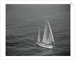 Aerial View of a Sailing Yacht by Anonymous