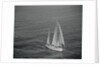 Aerial View of a Sailing Yacht by Anonymous