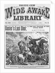 Cover of The Wide Awake Library by Anonymous