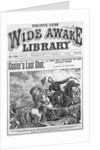 Cover of The Wide Awake Library by Anonymous